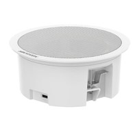 HIKVISION DS-QAZ0206G1-S Network Asma Tavan Hoparlörü İkincil